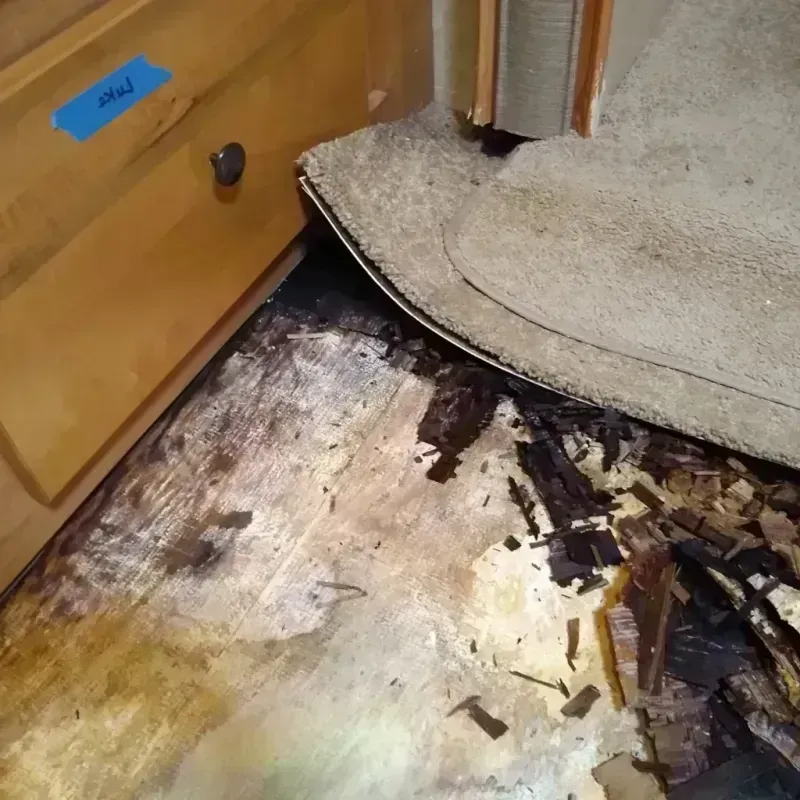 Wood Floor Water Damage in Lancaster, WI